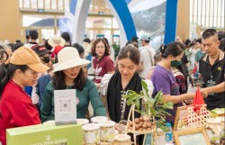 Tự hào giới thiệu nông sản mang tầm trí tuệ của người Việt