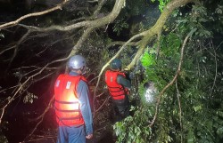 Chính quyền cùng người dân chung sức ứng phó triều cường