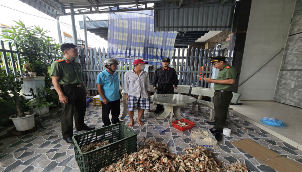 N.V.L. bị khởi tố, tạm giam về hành vi “Tổ chức cho người khác xuất cảnh trái phép N.V.L. bị khởi tố, tạm giam về hành vi “Tổ chức cho người khác xuất cảnh trái phép