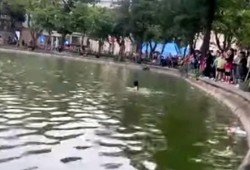 Đã xác định danh tính người phụ nữ đuối nước ở hồ Hoàn Kiếm