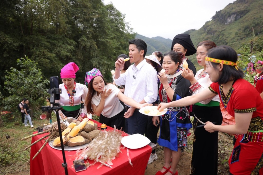 Ông Lê Bá Sơn, Chủ tịch UBND xã Sìn Hồ (Lai Châu) xuống ruộng khoai cùng bà con livestream giới thiệu khoai sâm đất Sìn Hồ tới người tiêu dùng cả nước