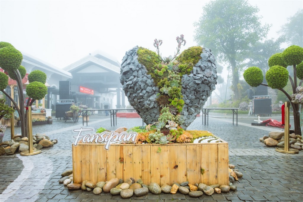 Du khách Tây thích thú săn mây, check in hoa Sen đá trên đỉnh Fansipan