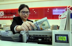 Lợi nhuận "bứt phá", SeABank cán mốc 6.739 tỷ đồng chỉ sau 9 tháng