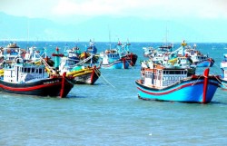 Phòng, chống vi phạm IUU chuyển biến theo hướng tích cực và bền vững