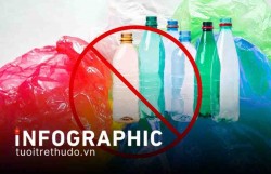 Lộ trình nói không với nhựa dùng một lần ở Việt Nam