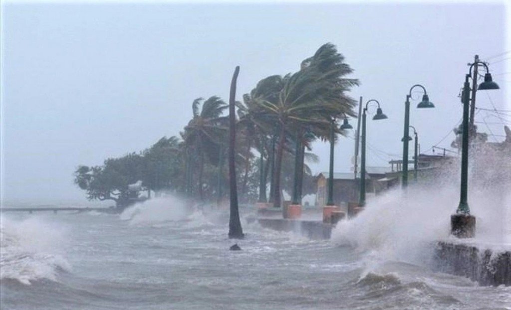 Ảnh minh hoạ Ảnh minh hoạ