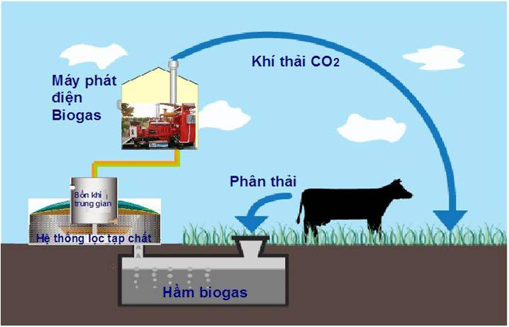 Hầm biogas - “mắt xích vàng” giúp giảm phát thải khí mê-tan Hầm biogas - “mắt xích vàng” giúp giảm phát thải khí mê-tan