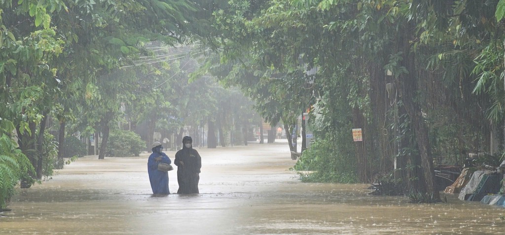 Có khả năng xuất hiện đỉnh lũ lịch sử năm 1964 tại Thu Bồn Có khả năng xuất hiện đỉnh lũ lịch sử năm 1964 tại Thu Bồn