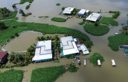 Tây Ninh: Lũ và triều cường gây thiệt hại gần 830 hecta nông nghiệp