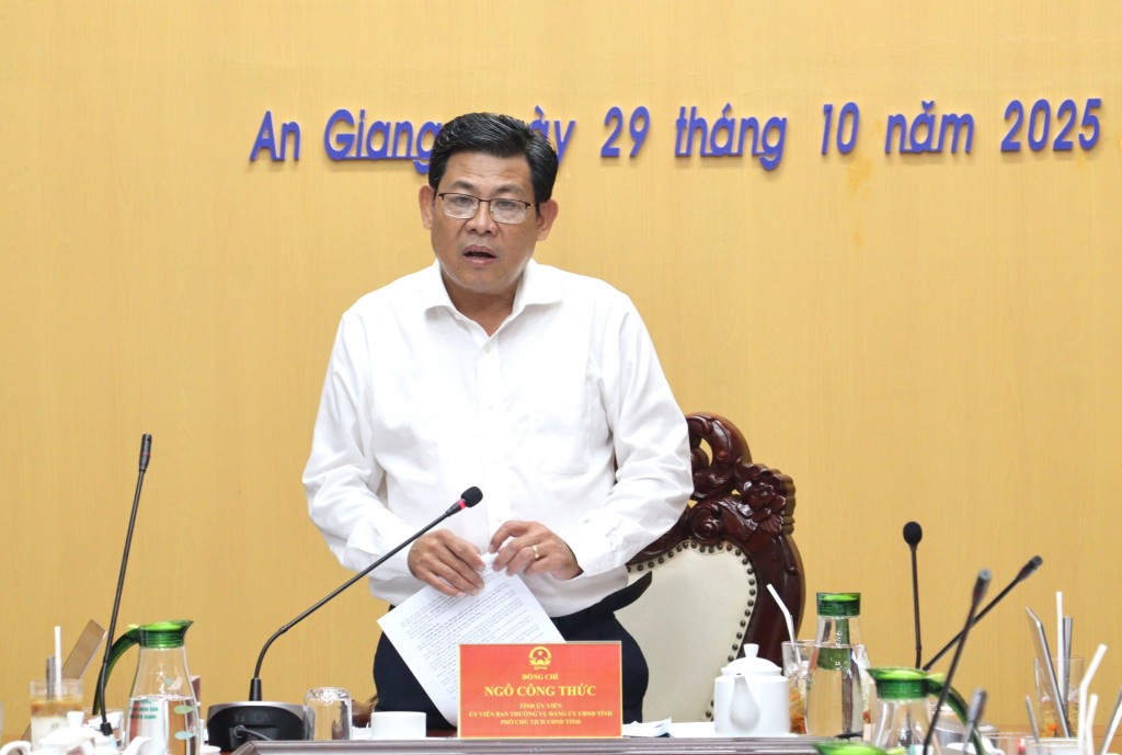 Phó Chủ tịch UBND tỉnh Ngô Công Thức phát biểu chỉ đạo (ảnh: Như Ngọc)