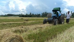 Việt Nam khẳng định quyết tâm trong thực hiện các cam kết quốc tế về bảo vệ khí hậu