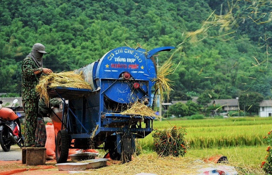 Triển khai kế hoạch hành động giảm phát thải khí mê-tan