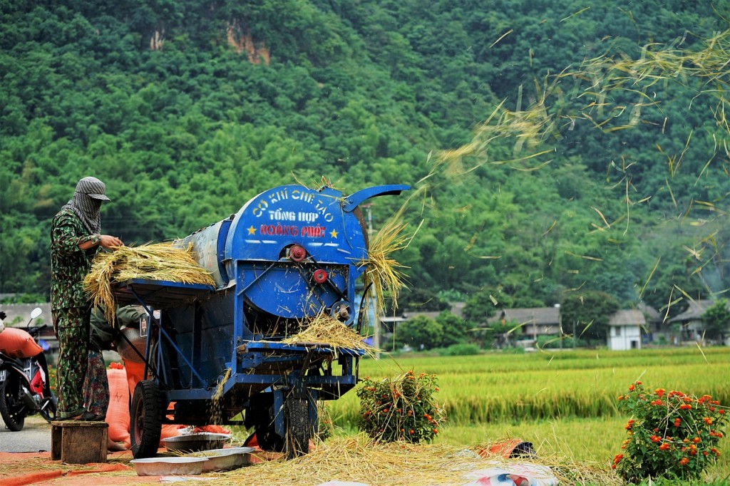 Triển khai kế hoạch hành động giảm phát thải khí mê-tan Triển khai kế hoạch hành động giảm phát thải khí mê-tan