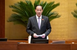 Cắt giảm rào cản hành chính, đáp ứng yêu cầu đối ngoại, hội nhập