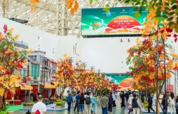 Đề nghị dừng bắn pháo hoa tại Lễ bế mạc Hội chợ Mùa thu