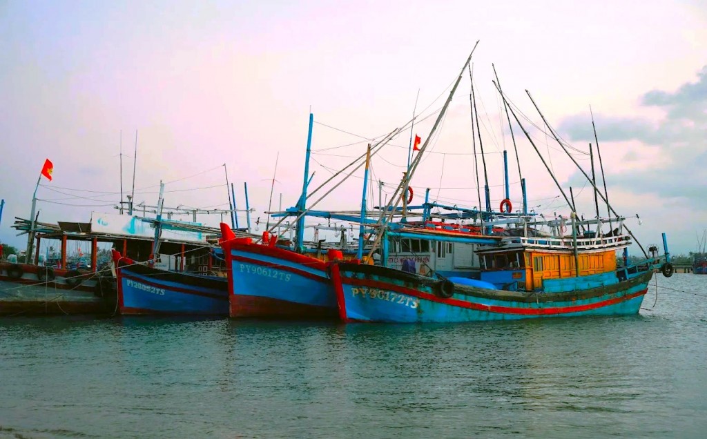 Hàng ngàn tàu cá đã được cấp phép, số hóa dữ liệu