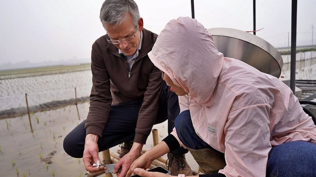 Một số giải pháp giảm phát thải khí mê-tan trong trồng trọt