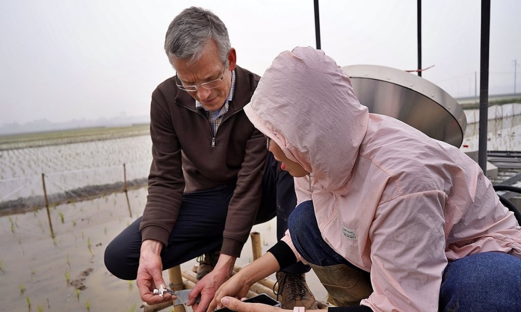 Một số giải pháp giảm phát thải khí mê-tan trong trồng trọt