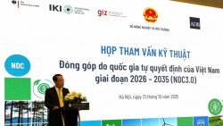 Đóng góp của Việt Nam trong việc giảm phát thải khí mê-tan