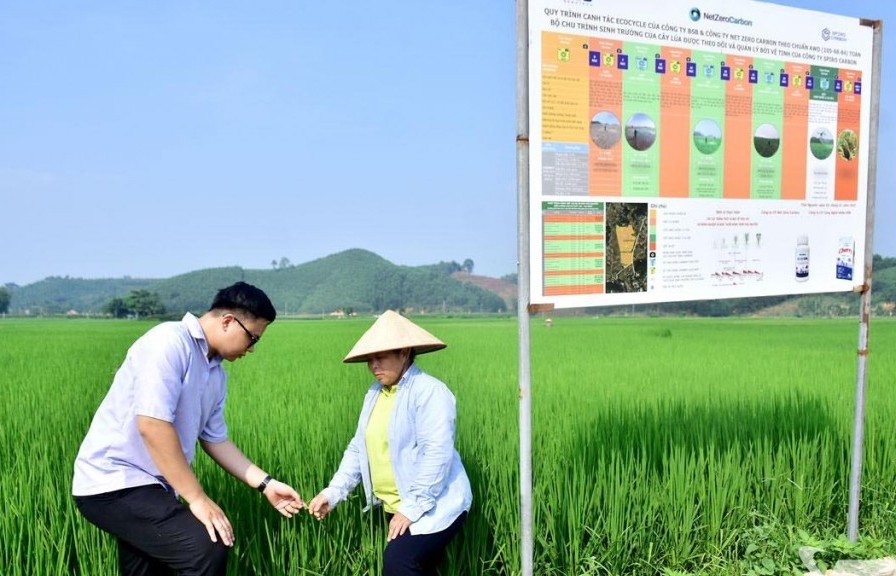 Hoạt động sản xuất nông nghiệp gắn với việc giảm phát thải khí mê-tan