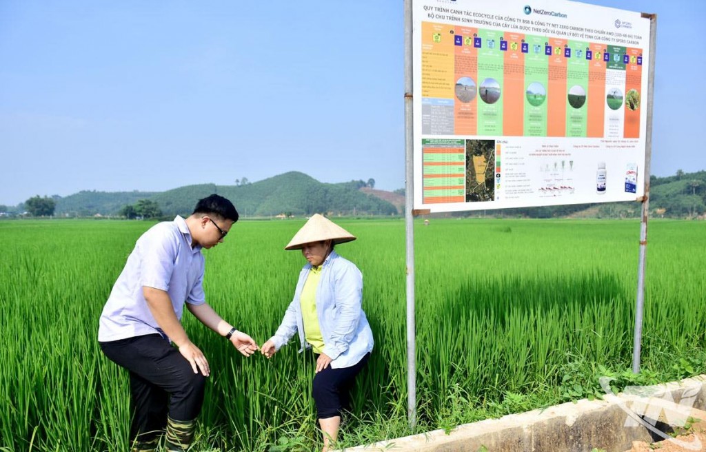 Hoạt động sản xuất nông nghiệp gắn với việc giảm phát thải khí mê-tan