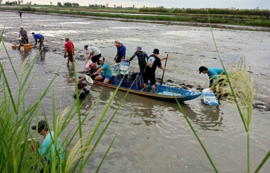Giảm phát thải khí mê-tan tới từng vùng sinh thái và nhóm cây trồng