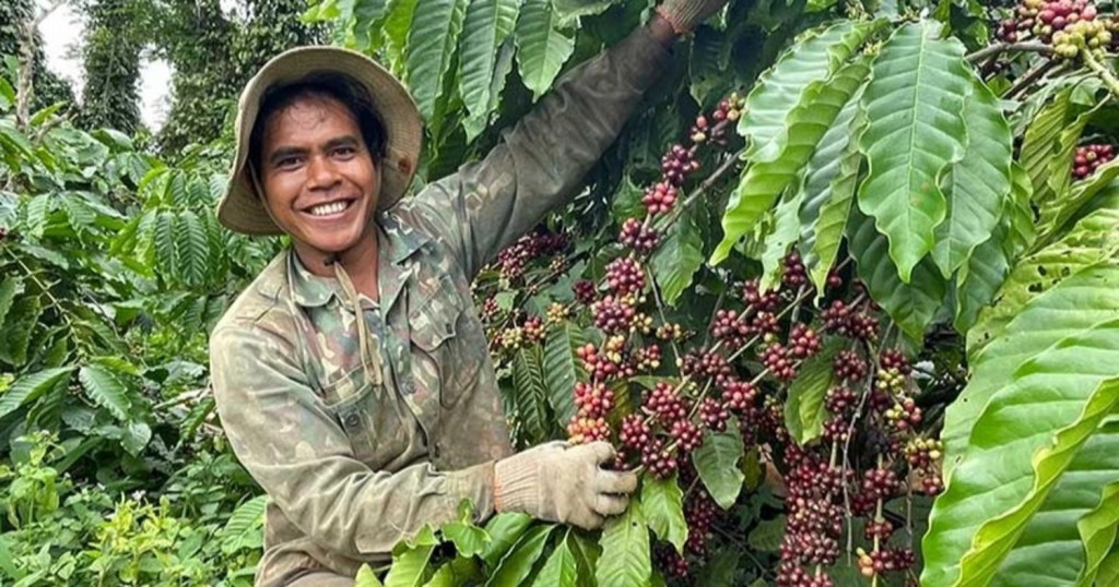 Giảm phát thải khí mê-tan tới từng vùng sinh thái và nhóm cây trồng