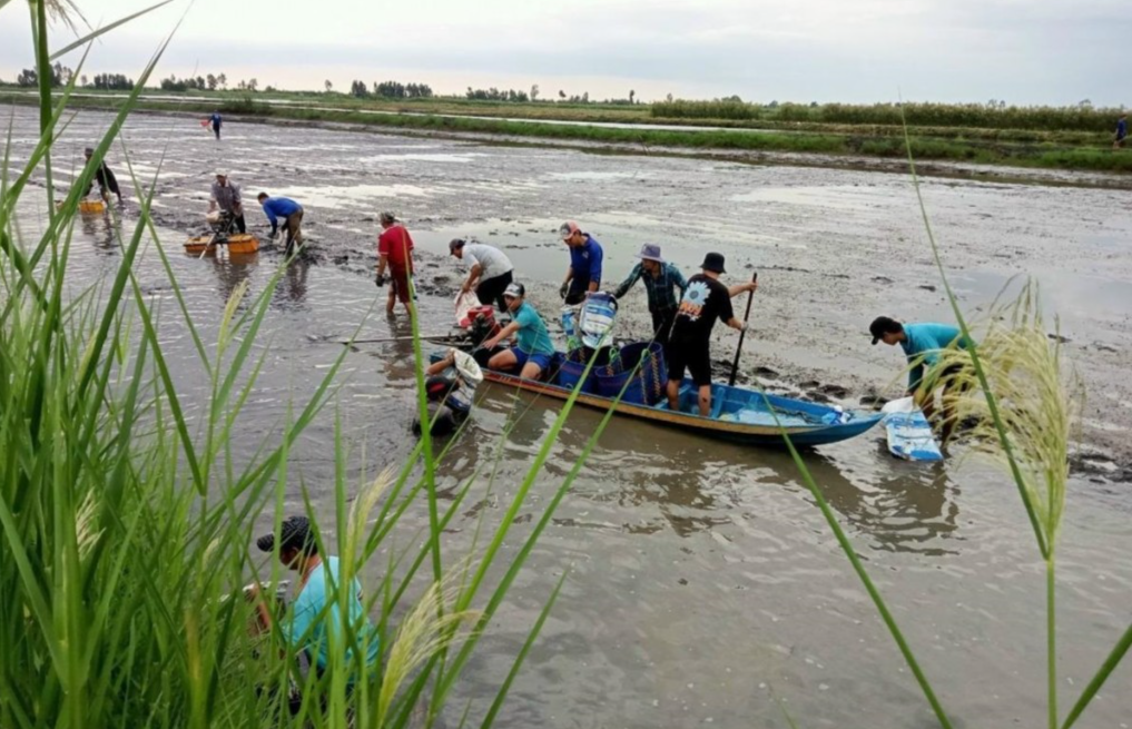 Giảm phát thải khí mê-tan tới từng vùng sinh thái và nhóm cây trồng