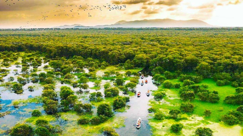 Tây Ninh: Vượt chỉ tiêu trồng cây, phủ màu xanh khắp tỉnh