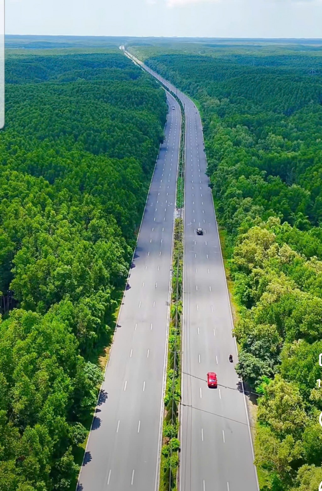 Con đường thơ mộng chạy xuyên rừng ngập mặn Cần Giờ