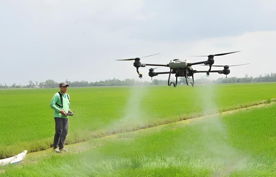 Đồng Tháp đẩy mạnh kinh tế nông nghiệp, phát triển văn hóa, du lịch