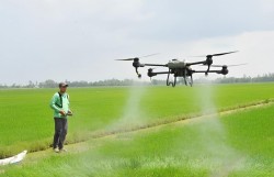 Đồng Tháp đẩy mạnh kinh tế nông nghiệp, phát triển văn hóa, du lịch