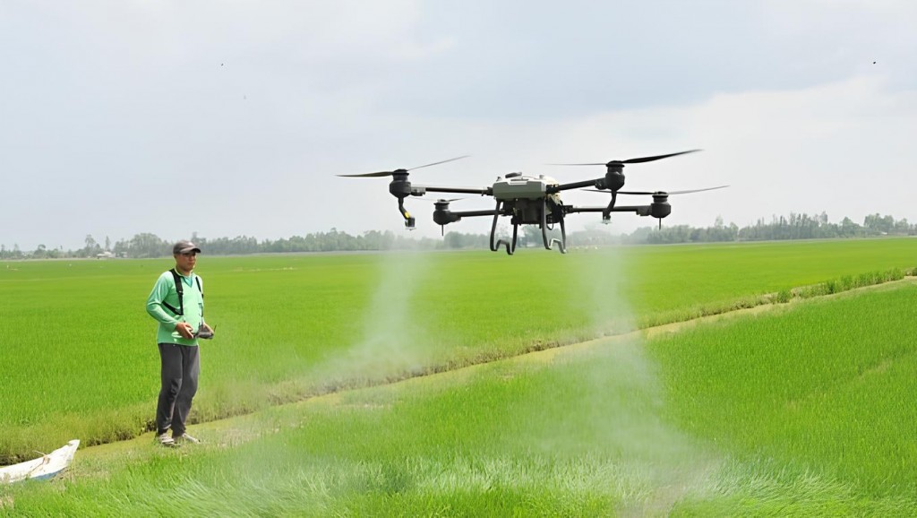 Đồng Tháp chuyển mạnh sang kinh tế nông nghiệp hiện đại, phát triển văn hóa – du lịch bền vững