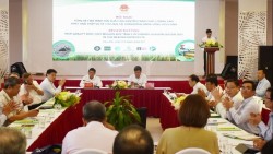 Hiệu quả sản xuất lúa chuyên canh chất lượng cao, phát thải thấp