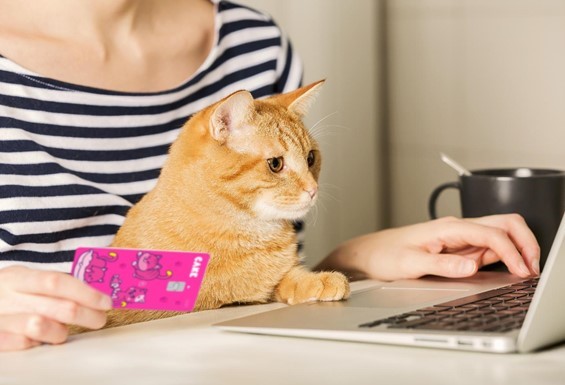 Cake ra mắt tính năng thanh toán nhanh ‘Click to Pay’ Cake ra mắt tính năng thanh toán nhanh ‘Click to Pay’