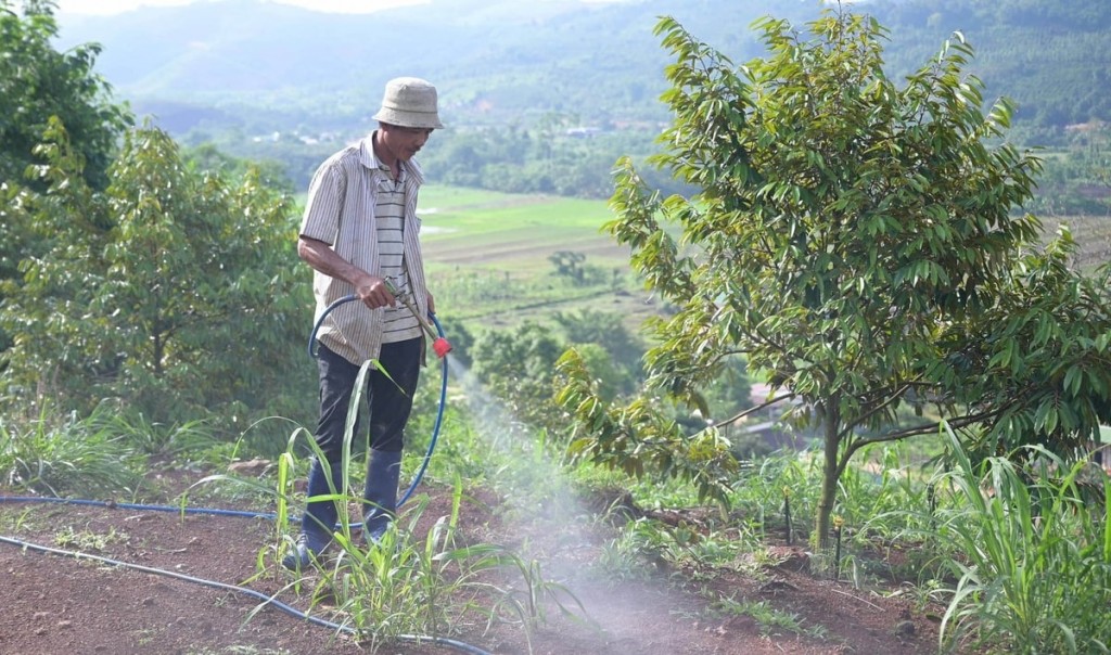 Nhân rộng mô hình canh tác giảm phát thải khí mê-tan