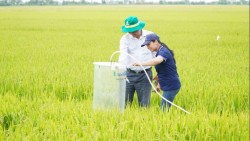 Ứng dụng kỹ thuật canh tác nông nghiệp thông minh giúp giảm phát thải khí mê-tan