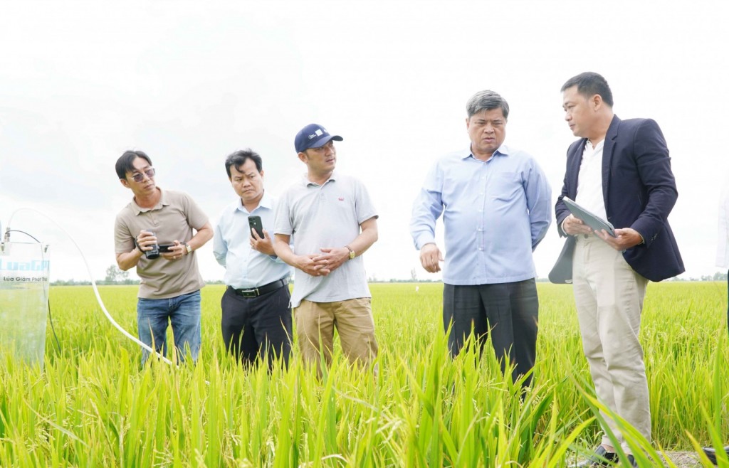 Ứng dụng kỹ thuật canh tác nông nghiệp thông minh giúp giảm phát thải khí mê-tan