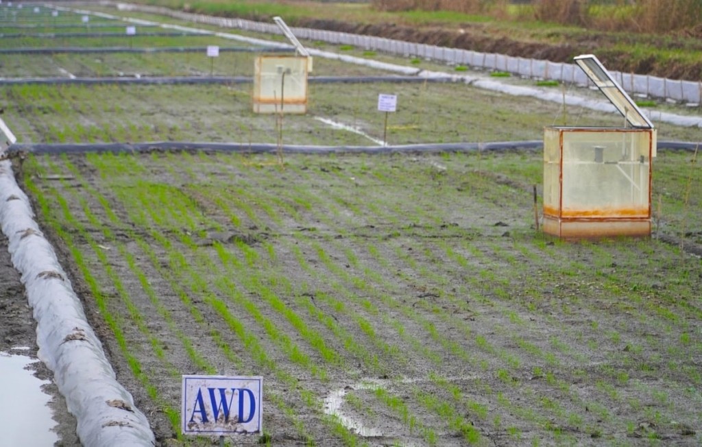 Công nghệ cảm biến tưới ướt khô xen kẽ (AWD) giúp tiết kiệm chi phí - Ảnh: K.A Tối ưu hóa phương pháp tưới tiêu trong nông nghiệp để hạn chế khí mê-tan từ đất