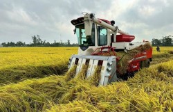 Tối ưu hóa phương pháp tưới tiêu trong nông nghiệp để hạn chế khí mê-tan từ đất