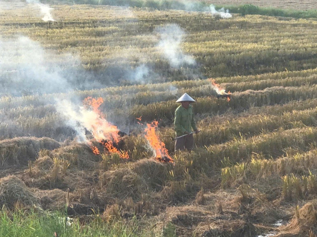 Sử dụng chế phẩm sinh học để xử lý chất thải hữu cơ nhằm hạn chế khí mê-tan Sử dụng chế phẩm sinh học để xử lý chất thải hữu cơ nhằm hạn chế khí mê-tan