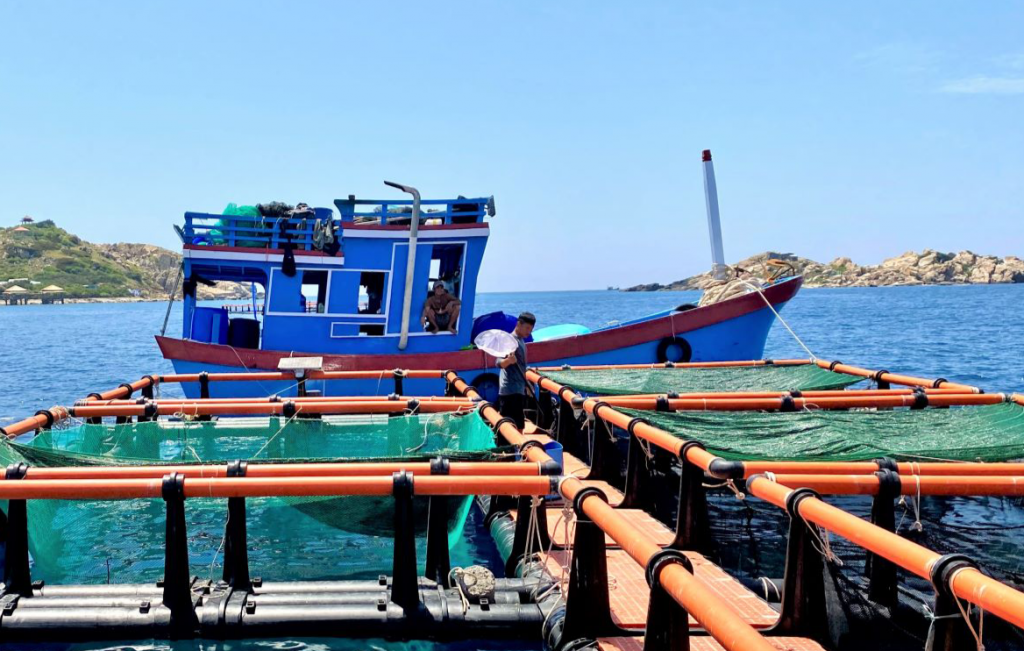 thông báo đến người dân để sớm thu hoạch sản xuất nông nghiệp.