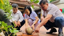 Hà Nội ghi nhận 486 ca sốt xuất huyết trong tuần qua