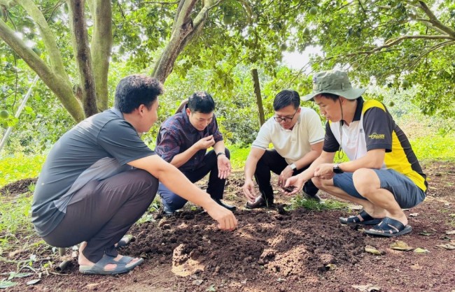 Phát triển kinh tế xanh có phải giải pháp giảm phát thải khí mê-tan