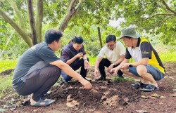 Phát triển kinh tế xanh có phải giải pháp giảm phát thải khí mê-tan