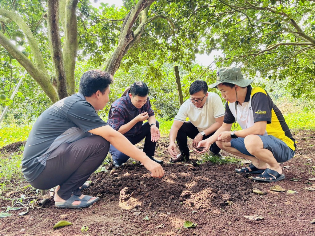 Các nhà khoa học ứng dụng nghiên cứu vào thực tế để phát triển kinh tế xanh Các nhà khoa học ứng dụng nghiên cứu vào thực tế để phát triển kinh tế xanh