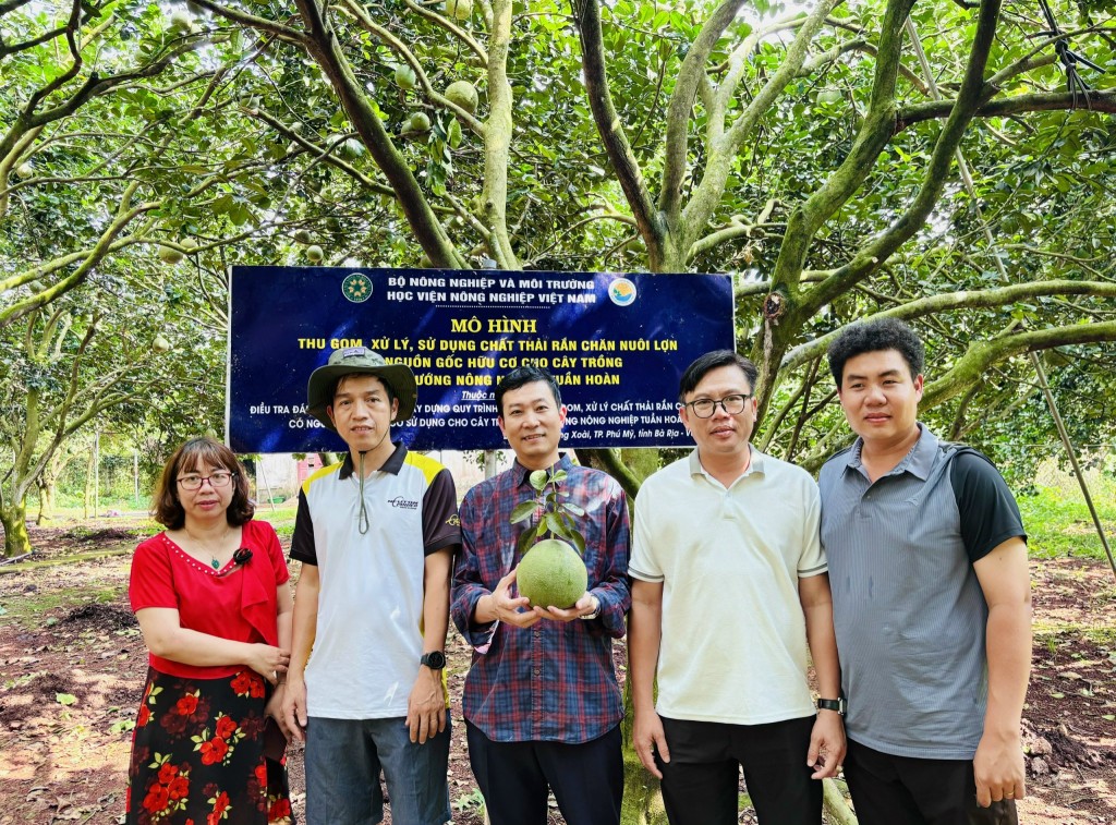 Mô hình xử lý chất thải chăn nuôi lợn sử dụng cho cây bưởi tại HTX bưởi da xanh Sông Xoài Mô hình xử lý chất thải chăn nuôi lợn sử dụng cho cây bưởi tại HTX bưởi da xanh Sông Xoài