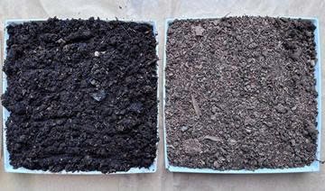 Theo các nhà khoa học, việc tối ưu hóa tài nguyên, mang lại giá trị kinh tế và môi trường bền vững Theo các nhà khoa học, việc tối ưu hóa tài nguyên, mang lại giá trị kinh tế và môi trường bền vững