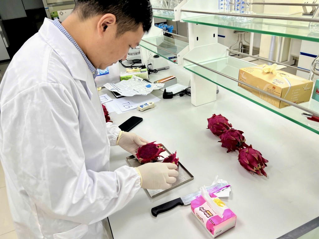 Ứng dụng ủ compost từ chất thải chăn nuôi giúp cây thanh long phát triển đồng đều Ứng dụng ủ compost từ chất thải chăn nuôi giúp cây thanh long phát triển đồng đều