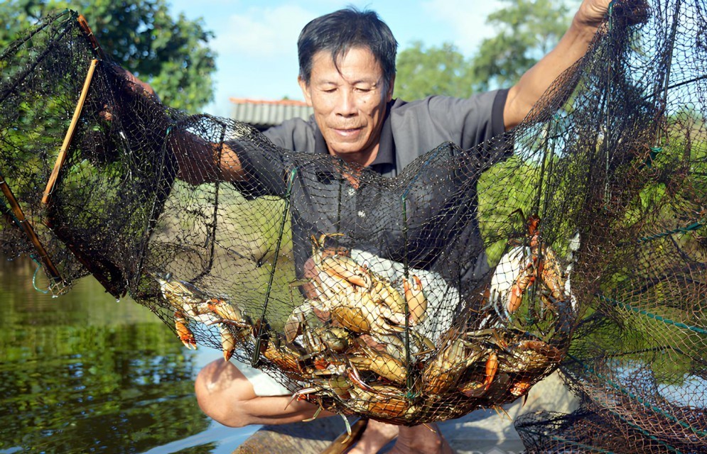 Hương rừng vị biển hòa quyện trong Ngày hội Cua Cà Mau 2025